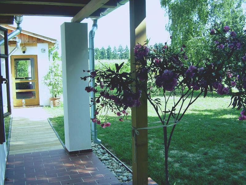Villa Martonvendeghaz 1 Gelse Esterno foto